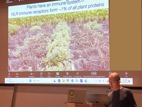 Sophien Kamoun talking about Plant Immunity | Plant Sciences | Scoop.it