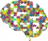 La mémorisation - Portail langues - Dans quelle mesure le numérique permet-il de créer des situations d’apprentissage efficace ? | Médecine  Cerveau Intelligence | Scoop.it