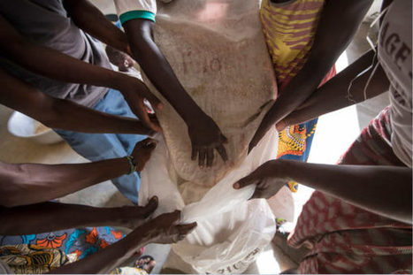 Défendre la consommation de produits alimentaires locaux en Afrique de l’Ouest | Questions de développement ... | Scoop.it
