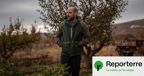 En SYRIE, survivre dans un environnement ravag&eacute; | CIHEAM Press Review | Scoop.it