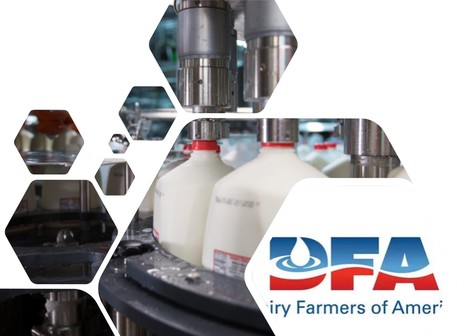 Dairy Farmers of America acquiert 2 usines de transformation | Lait de Normandie... et d'ailleurs | Scoop.it