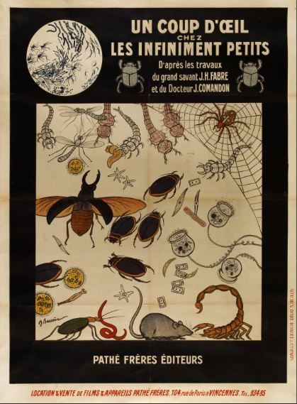 157 affiches numérisées sont en ligne sur le portail des bibliothèques spécialisées | Insect Archive | Scoop.it