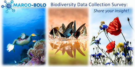 Biodiversity Collection Data Survey | Biodiversité | Scoop.it