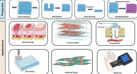 Mechanoresponsive Biomaterials: Principles, Mechanisms, and Applications | acs | RMH | Scoop.it