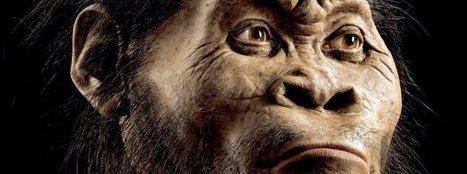 Homo naledi: Forscher entdecken neue Menschenart | Evolution | Research | 21st Century Innovative Technologies and Developments as also discoveries, curiosity ( insolite)... | Scoop.it