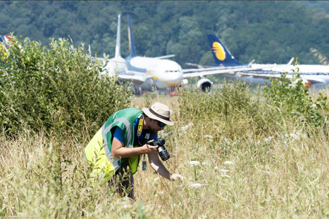 A&eacute;roport Tarbes-Lourdes-Pyr&eacute;n&eacute;es - Il poursuit sa trajectoire de d&eacute;veloppement durable | Accueil | Scoop.it