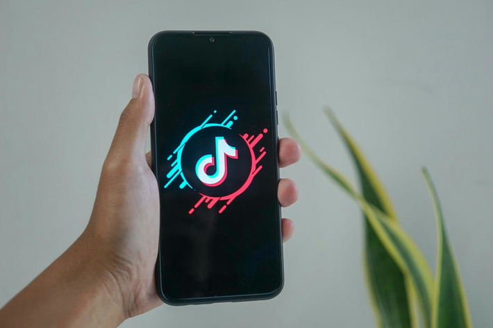 TikTok devient une source d'inspiration de plus en plus importante pour le voyage | Tendances - Etourisme | Scoop.it