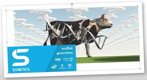Synetics : Innoval et Masterrind fusionnent leurs activités de génétique bovine | Lait de Normandie... et d'ailleurs | Scoop.it