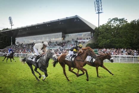 Les courses hippiques, un loisir en progression sur l'ensemble des territoires | 7 - Fan Experience | Scoop.it