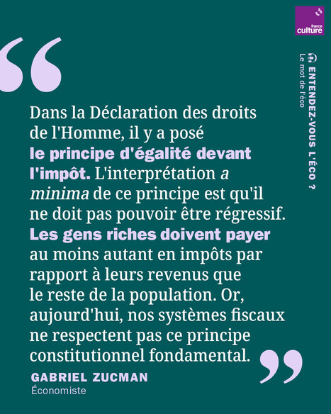[Décryptage] Rejetée au Sénat, la « taxe Zucman » devrait ressurgir à la rentrée | Insect Archive | Scoop.it