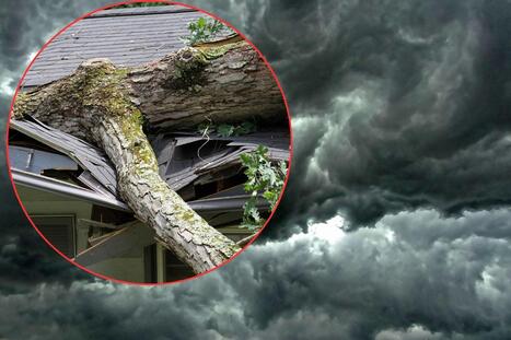 Abilene's June Storms: Damage, Recovery, And Cleanup Efforts | Industry 411 - Waste Management | Scoop.it