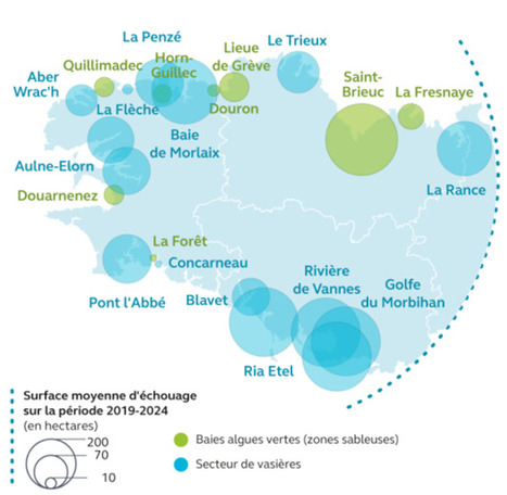Politique de lutte contre les algues vertes en Bretagne&nbsp;: une nouvelle &eacute;valuation de la Cour des comptes | ECOLOGIE - ENVIRONNEMENT | Scoop.it