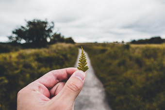 30 Days of Reconnection – Fantastic Resources from Biomimicry.org | Rainforest CLASSROOM | Scoop.it