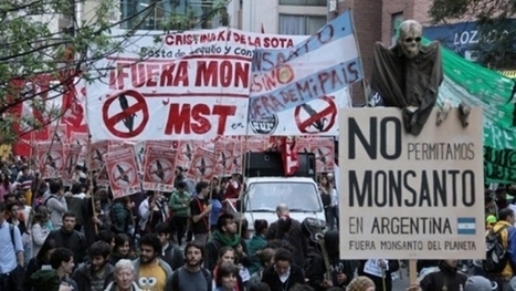 Les Argentins remportent une victoire sur Monsanto‏ | Home | Scoop.it