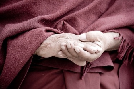 What Neuroscience Can Teach Us About Compassion | Compassion | Scoop.it