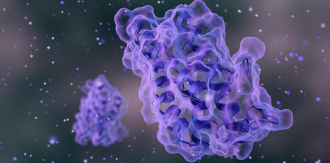 L&rsquo;intelligence artificielle au service de la&nbsp;m&eacute;decine r&eacute;g&eacute;n&eacute;rative pour concevoir de&nbsp;nouvelles prot&eacute;ines | Innovation Agro-activit&eacute;s et Bio-industries | Scoop.it