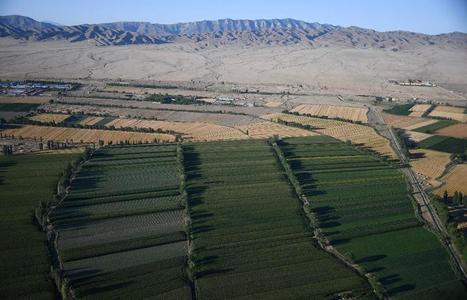 Can This Irrigation Startup Help Growers Thrive During Droughts To Come? | L'ECHO DEMETER | Scoop.it