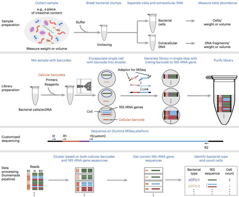 High-throughput identification and quantificati...