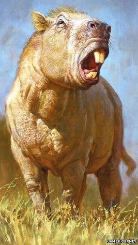 Le chinchilla qui voulait devenir éléphant | Café des Sciences | Scoop.it