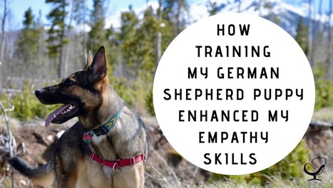 How Training My German Shepherd Puppy Enhanced My Empathy Skills | Empathy and Animals | Scoop.it