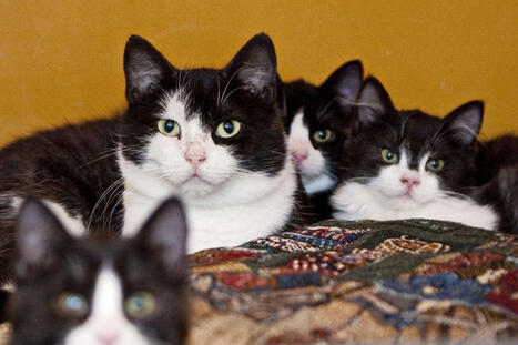 Lahtelaispappi teki viisi vuotta sitten teon, joka her&auml;tti p&ouml;yristyst&auml;: Nyt h&auml;n aikoo tehd&auml; sen taas | 1Uutiset - Lukemisen t&auml;hden | Scoop.it