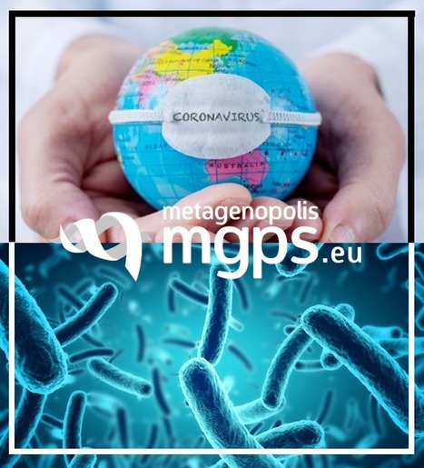 FOCUS PLATEFORME : Le microbiote intestinal, un acteur insoupçonné dans l’infection COVID-19 ? | Life Sciences Université Paris-Saclay | Scoop.it