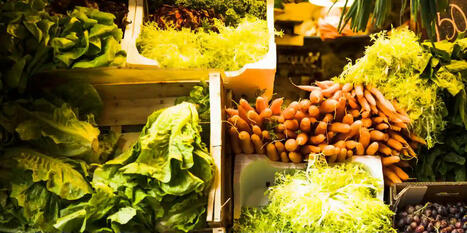 Résidus de pesticides dans l’alimentation : des chiffres rassurants | AGROALIMENTAIRE | Scoop.it