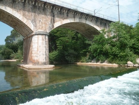 Var : SNCF Réseau et l’agence de l’eau mettent en place une passe à anguilles sous le pont de l’Argens à Vidauban | Biodiversité | Scoop.it