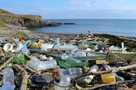 Supermarkets to face huge rise in recycling charges under £1billion scheme to slash Britain's plastic waste | Coastal Restoration | Scoop.it