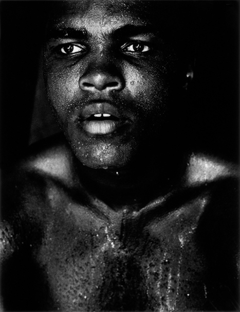 Gordon Parks's Photos of Muhammad Ali  | Design, Science and Technology | Scoop.it
