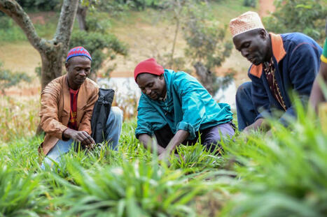 Workshop for Government Officials in the United Republic of Tanzania on Negotiating Better Agricultural Investment Contracts and Reforming Investment Treaties | BIOECONOMY, Climate-Nature-Finance, Financial Reforms, Economic Reforms, Tax Reforms | Scoop.it