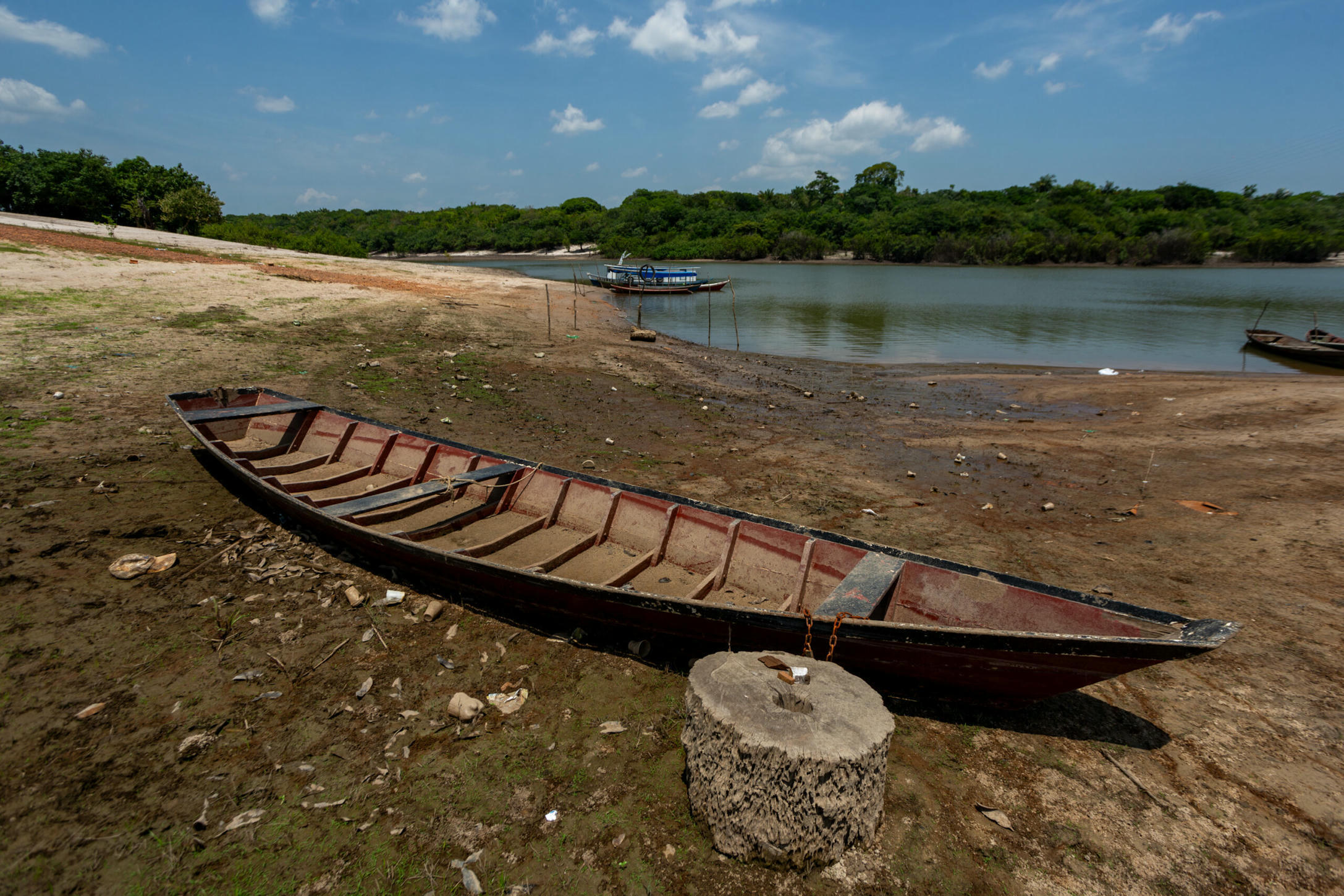 BRAZIL: Drought and wildfires threaten energy s...