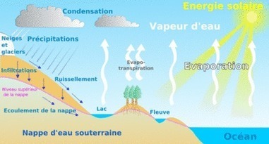 Nos pollutions ont fait une nouvelle victime : l’évapotranspiration | Toxique, soyons vigilant ! | Scoop.it