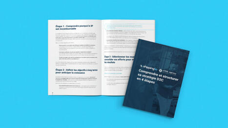 Structurer une stratégie D2C efficace : Guide complet | Stratégie marketing | Scoop.it
