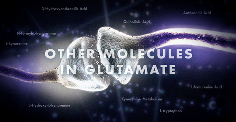 Functional Neurology: Other Molecules in Glutamate | El Paso, TX Chiropractor | Call: 915-850-0900 | Neuropathy "The Painful Enigma" | Scoop.it
