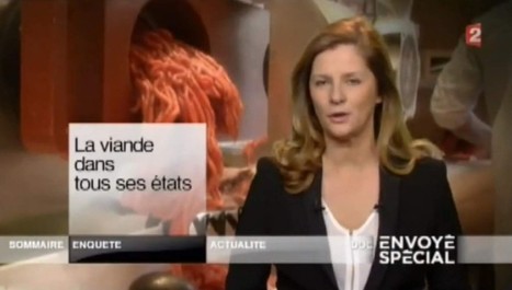 Le CSA rappelle à l’ordre France 2 sur sa déontologie | DocPresseESJ | Scoop.it