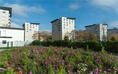 Vannes. Une étude sociale et urbaine dans le quartier de Kercado | L'actualité des quartiers politique de la ville de Bretagne et Pays de la Loire | Scoop.it