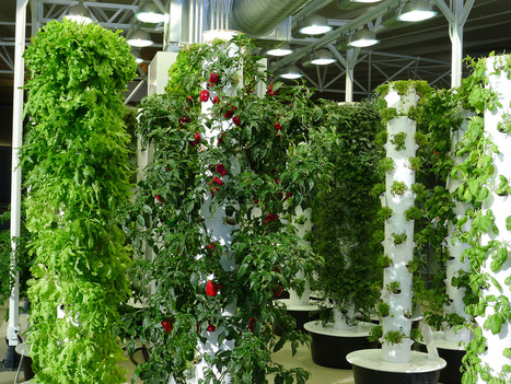 Vertical Farms starting new agricultural revolution | INNOVATIONS | Scoop.it