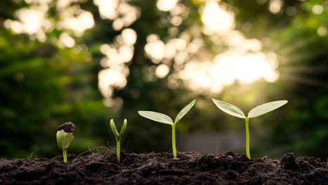 For an Economy Rooted in Care and Regeneration  | Energy Transition in Europe | www.energy-cities.eu | Scoop.it