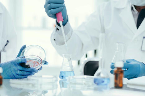 À la recherche de nouvelles stratégies pour tester la toxicité des protéines | Alimentation Santé Environnement | Scoop.it