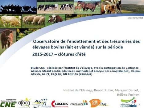 Situation financière toujours difficile pour les exploitations bovines à l’été 2017 | SCIENCES DE L' ANIMAL | Scoop.it