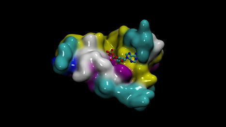 Build Generative AI Pipelines for Drug Discovery with NVIDIA BioNeMo Service | Amazing Science | Scoop.it