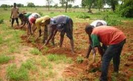 Le secteur rural absorbe 17% des engagements de la BAD au Sénégal | Questions de développement ... | Scoop.it