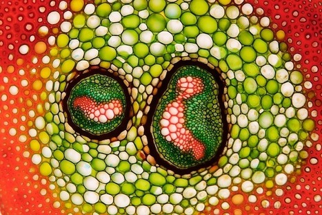 Organic Writing and Digital Media: Seeds and Organs | Digital Pedagogy | Aprendiendo a Distancia | Scoop.it