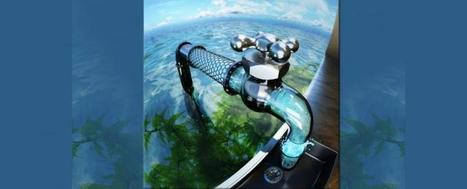Carbon Nanotubes Worth Their Salt | #Research #Nano | 21st Century Innovative Technologies and Developments as also discoveries, curiosity ( insolite)... | Scoop.it