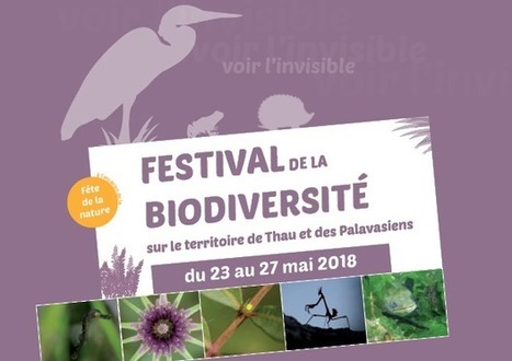 Festival Biodiversité - CPIE Bassin de Thau | Biodiversité | Scoop.it