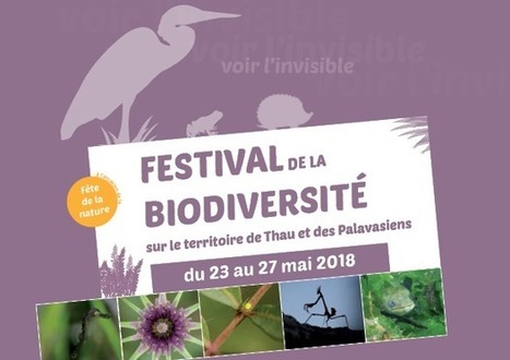 Festival Biodiversité - CPIE Bassin de Thau | Biodiversité | Scoop.it