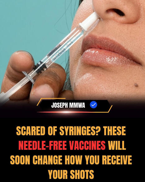 Vaccines are being developed that you may never need a syringe to receive-and they could change the future of immunization forever! Scientists are exploring a new generation of needle-free vaccine... | H&eacute;sitations Vaccinales: Observatoire HESIVAXs | Scoop.it