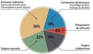 La combustion de biomasse pollue l’air des campagnes | Build Green, pour un habitat écologique | Scoop.it