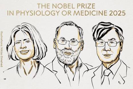 Prix Nobel de médecine : Mary E. Brunkow, Fred Ramsdell et Shimon Sakaguchi récompensés pour la découverte des cellules T régulatrices | EntomoScience | Scoop.it